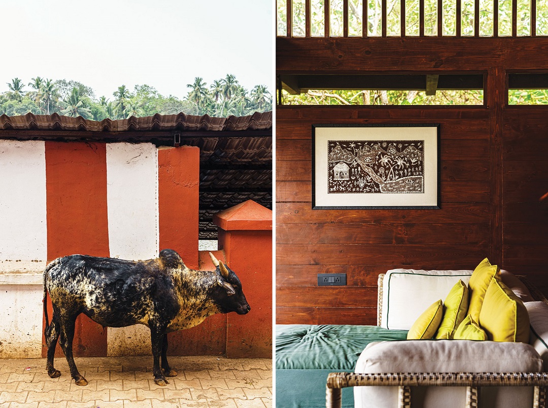 A cow in the streets of Gokarna, whose name derives from a legend in which the god Shiva emerged from a cow’s ear; each of the seven wooden cottages at Cabo Serai come with daybeds and spacious decks.