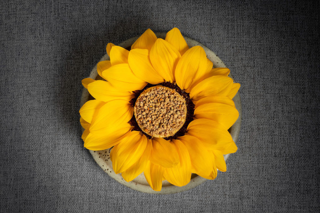 Sunflower-seed amazake parfait with a crust of bee pollen.