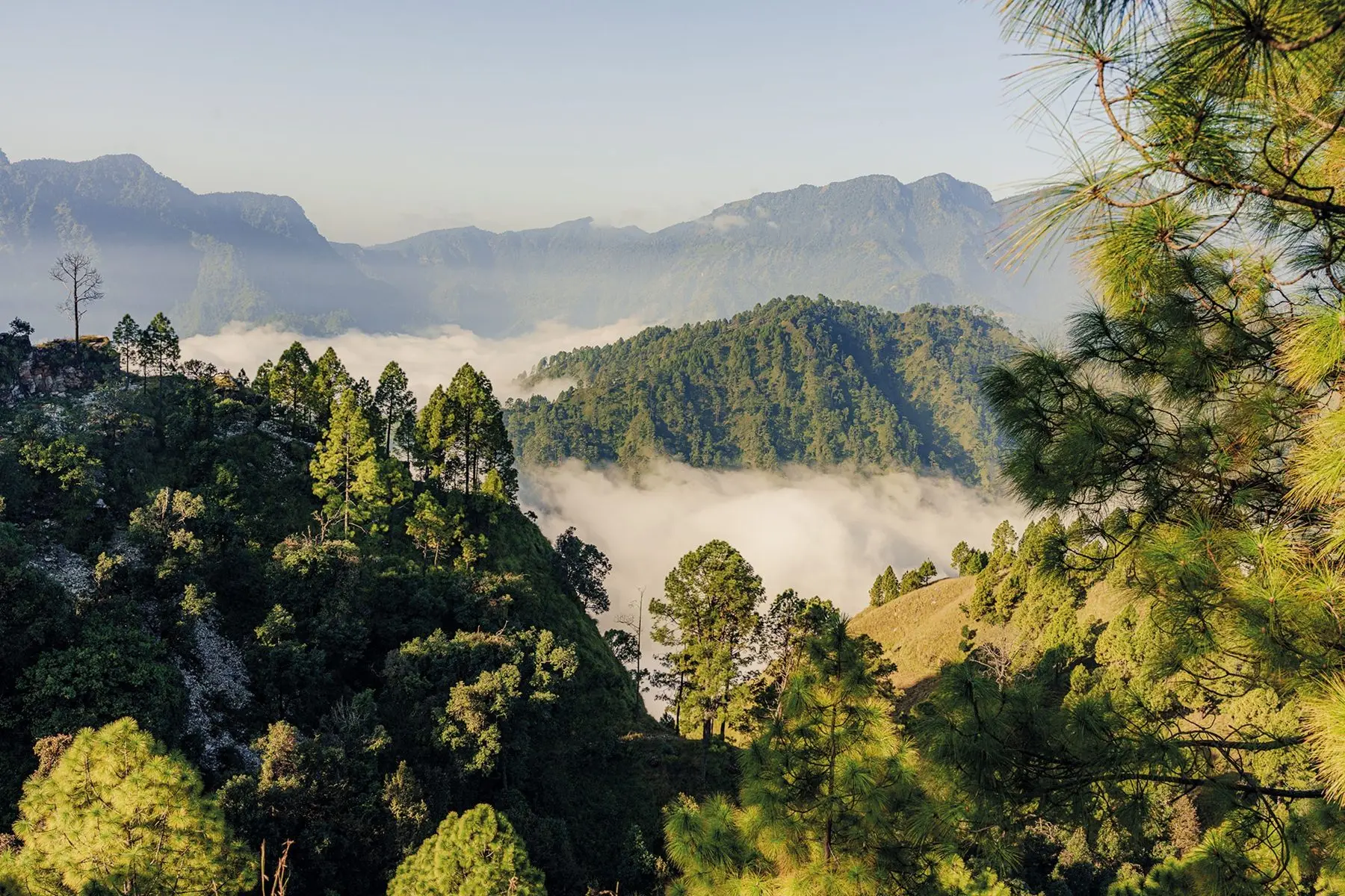 Shakti-Kumaon-India-Morning-